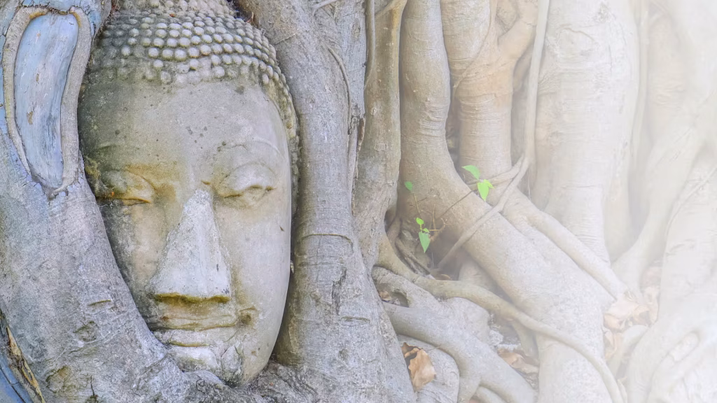 Stressbewältigung Berlin Treptow Köpenick Nähe Altglienicke