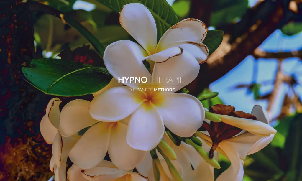 Traumasensible Hypnotherapie ❀ Adlershof Treptow Köpenick